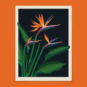 Bird of Paradise 18
