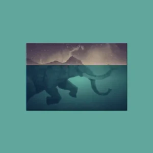 Postcard: Mammoth