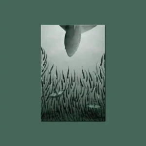 Postcard: Shark & Flying Fish