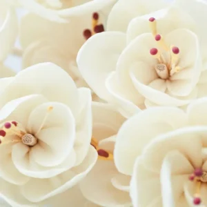 Flower Diffuser Reed