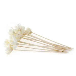 Lotus Flower Reed