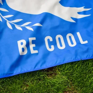 Be Cool Outdoor Flag