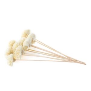 Carnation Flower Reed